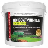 Почвоулучшитель Reasil Soil Conditioner Супер газон 3 кг