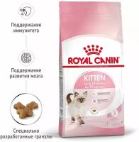 Сухой корм для котят Royal Canin Kitten 2 шт. х 1.2 кг