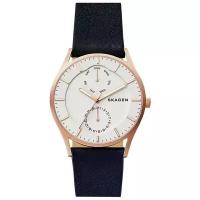 Наручные часы SKAGEN SKW6372