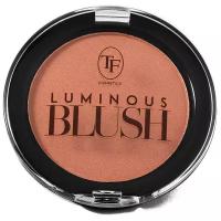 Румяна для лица TF Cosmetics Luminous Blush т.606