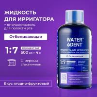 Waterdent Жидкость для ирригатора WATERDENT Отбеливающая 1:7