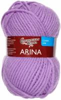 Пряжа Arina (АринаПШ) 50% шерсть, 50% акрил 123м/100гр (70065 сир. дали_v2)