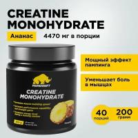 Креатин Моногидрат Микронизированный PRIMEKRAFT Creatine Monohydrate Micronized, Ананас, банка 200 гр / 40 порций