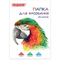 Папка для рисования Пифагор Попугай 42 х 29.7 см (A3), 120 г/м², 40 л. белый A3 42 см 29.7 см 120 г/м²