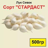 Лук севок Стардаст 0,5 кг. Урожай 2023