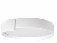 Люстры и потолочные светильники Loft IT 10200 White