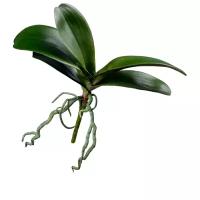 Искусственные листья Орхидея Фаленопсис Gerard de ros