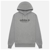 Мужская толстовка adidas Skateboarding 4.0 Logo Hoodie серый, Размер XL