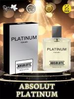 TODAY PARFUM (Delta parfum) Туалетная вода мужская ABSOLUTE PLATINUM