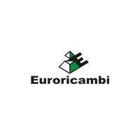 EURORICAMBI 24171038 EU24171038_шестерня трансмиссии! МОД, косозубая, со втулками, постоян. зацепл. ось DS404 FRL/INTERN 1шт