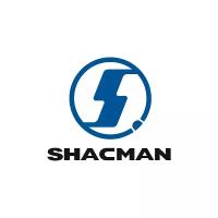 SHACMAN DZ9112340062 Накладка тормозной колодки SHACMAN SHAANXI F3000 задней (1шт.) OE