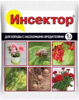 Ваше хозяйство Препарат против вредителей Инсектор, 1.2 мл, 6 г