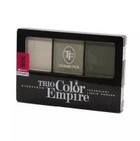 TF Cosmetics Палетка теней Trio Color Empire 308 оливковое золото