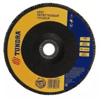 Лепестковый диск Тундра 1300813, 1 шт