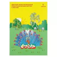 Картон цветной голографический А4, 5 листов, 5 цветов Каляка-Маляка Каляка-Маляка 2371023