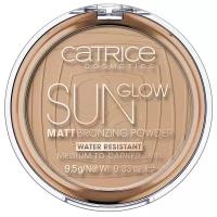 Матовая бронзирующая пудра Sun Glow Matt Bronzing