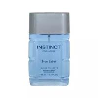 Andre Renoir туалетная вода Instinct Blue Label, 100 мл