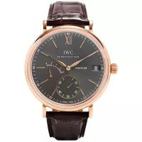 Наручные часы IWC IW510104