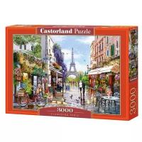 Castorland Flowering Paris (C-300525), 3000 дет., разноцветный