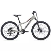 Горный (MTB) велосипед Giant XTC Jr 24 Disc (2021)