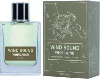 Brocard Wind Sound Whirlwind туалетная вода 100 мл для мужчин