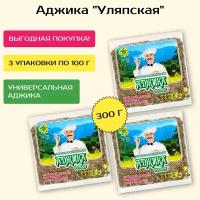 Аджика Уляпская 3 уп.* 100 гр. Сухая смесь специй и пряностей