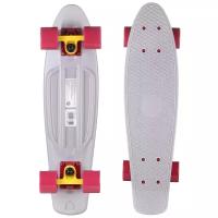 Пенни Борд Fish Skateboards 22