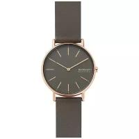 Наручные часы SKAGEN SKW2794