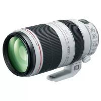 Объектив Canon EF 100-400mm f/4.5-5.6L IS II USM