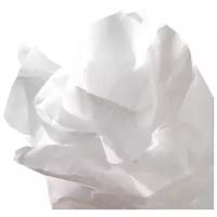Цветная бумага тишью в рулоне Papier de Soie Canson, 50х500 см, 1 л