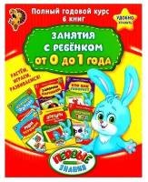 Буква-ленд Обучающие книги «Полный годовой курс. Серия от 0 до 1 года», 6 книг по 16 стр, в папке