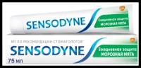 Зубная паста Sensodyne Ежедневная Защита Морозная Мята, для чувствительных зубов, 75 мл