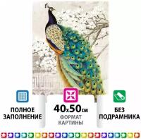 Картина стразами (алмазная мозаика) 40*50 см, остров сокровищ 