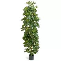 Зеленое растение для декора/Высокое дерево в интерьер/Искусственная Шеффлера колоновидная в горшке от Gerard de ros