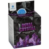 Набор для экспериментов Intellectico Кристалл фиолетовый Royal Crystal 515бр