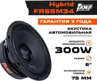 Акустика эстрадная AMP Hybrid FR65M34 широкополосная (1шт.)