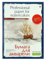 Бумага для акварели А5 20 листов блок 200г/м2 2В, в ассортименте, 1 шт. в папке 4-072