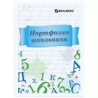 BRAUBERG Листы для портфолио Учись на 5 127547, разноцветный рисунок