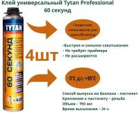 Пена-клей профессиональная Tytan Professional 60 Секунд 750 мл, 3шт