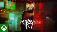 Игра Stray для Xbox One и Xbox Series X/S Электронный Ключ