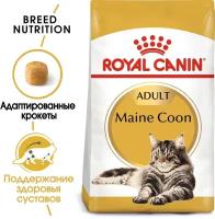 Сухой корм для кошек Royal Canin Maine Coon 31 Adult 13 кг