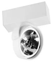 Настенно-потолочный светильник DL18407/11WW-White (Donolux)