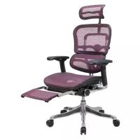 Компьютерное кресло Comfort Seating Ergohuman Plus Legrest офисное