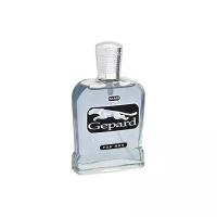 ALAIN AREGON (Positive parfum) Туалетная вода мужская GEPARD CHROM