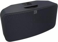 Портативная акустика Bluesound Pulse Mini 2i Black