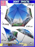 Зонт-трость Diniya, серый, синий