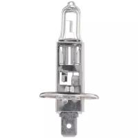 Лампа галогенная H1 12V 55W P14.5s Pure Light (стандартные характеристики) BOSCH 1987302011