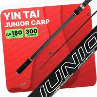 Карповое удилище штекерное JIN TAI JUNIOR CARP 3.0, 300см 4.00lb