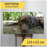 Картина на ОСП 