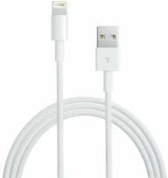 Аксессуар APPLE Lightning to USB Cable 0.5m для iPhone 5 / 5S / SE/iPod Touch 5th/iPod Nano 7th/iPad 4/iPad mini ME291